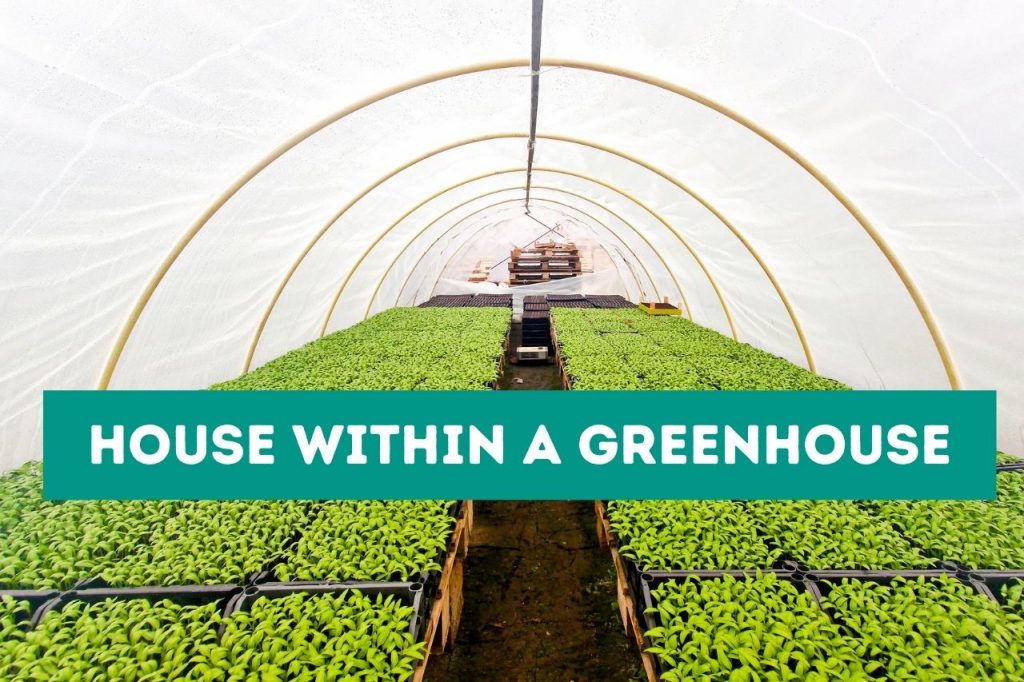House Within a Greenhouse