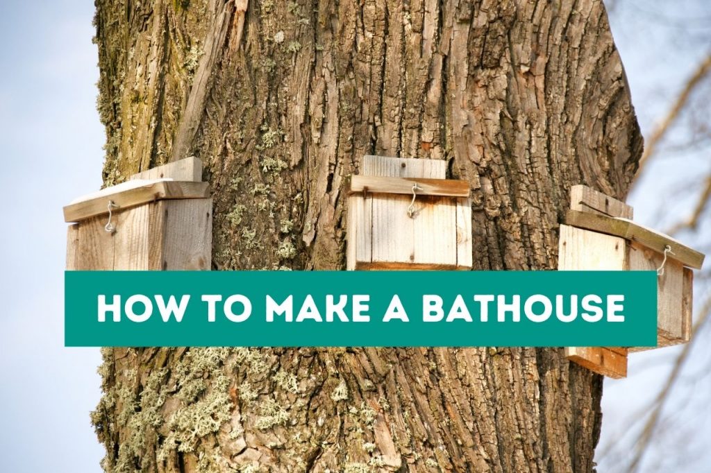 How to Make a Bathouse