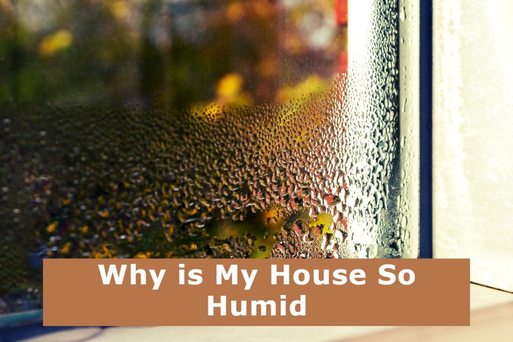 Why is My House So Humid?